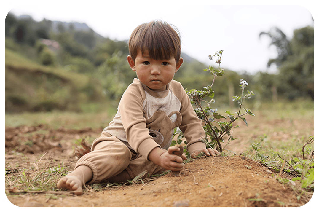 Hình ảnh các bé vùng cao Lai Châu
